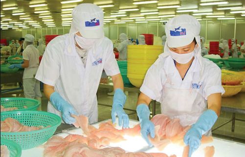 us becomes top importer of vietnamese tra fish in february