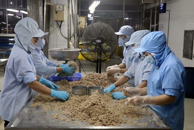 Workers at a fish processing factory in Vietnam (Illustrative photo: VNA)