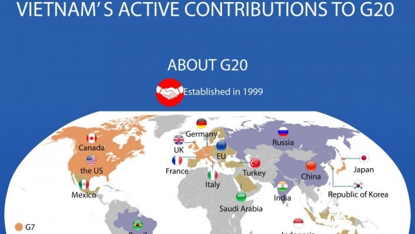 Vietnam's active contributions to G20