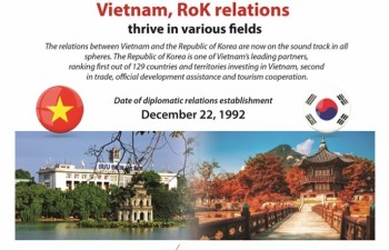 Vietnam, RoK relations thrive in various fields