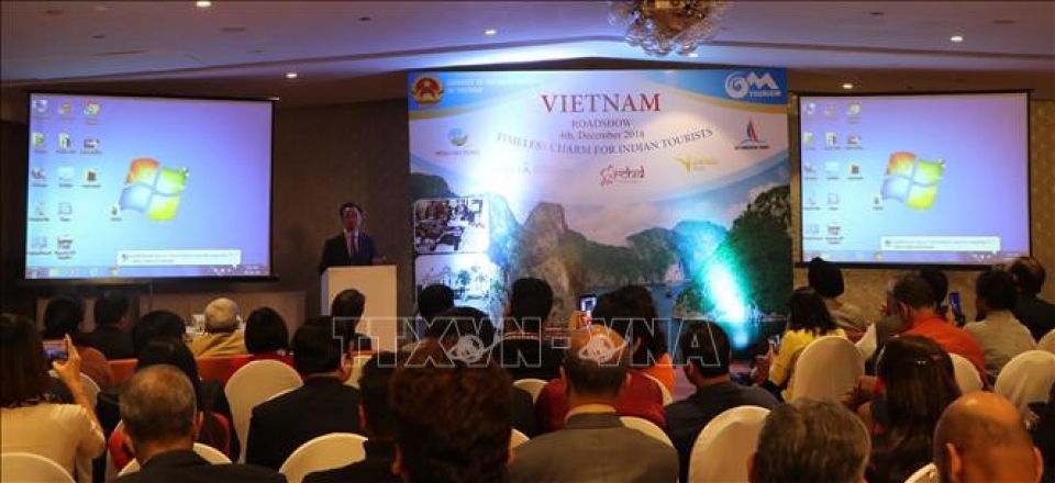 road show promotes vietnamese tourism to india