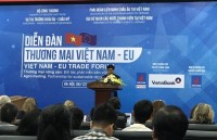 vietnam awaits evfta and launch of new era