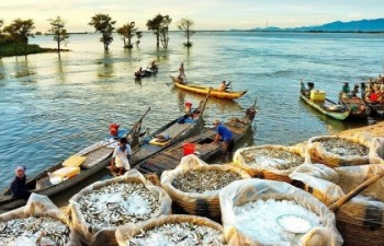 Mekong Delta in “floating season”: A real travel experience
