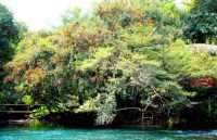 cultural activities for new year celebration in phong nha ke bang
