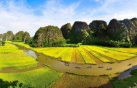 10th anniversary of unesco recognition of quan ho singing marked