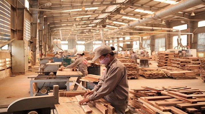 foreign investment increases in wood processing industry