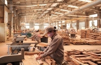 Foreign investment increases in wood processing industry