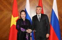 vietnamese na leader russian pm discuss multifaceted relations
