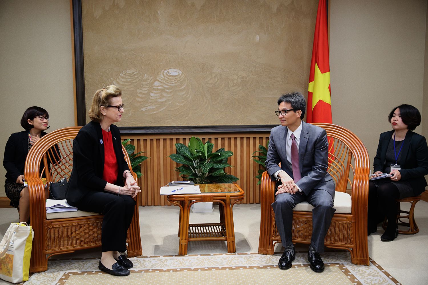 vietnam asks undp to support key priorities at unsc