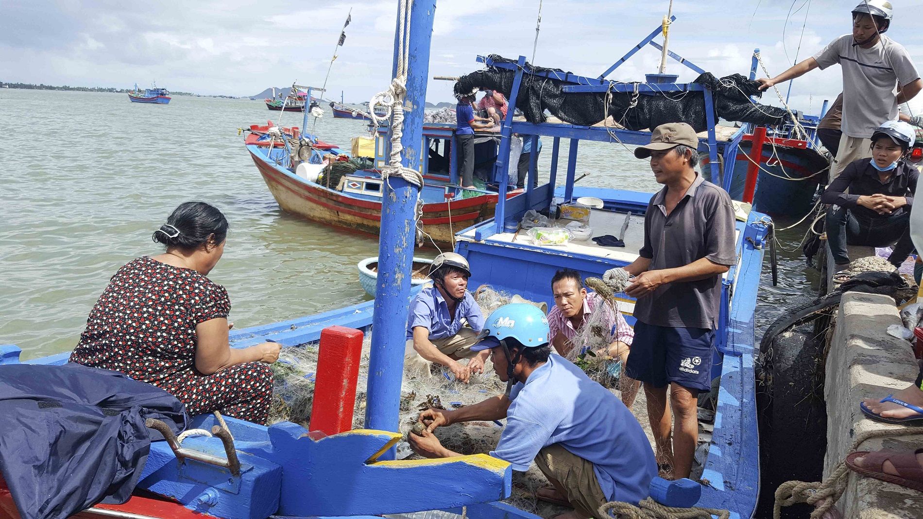 ec recognises vietnams improvements in combating iuu fishing