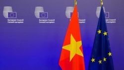 Viet Nam, EU enjoy thriving relations over three decades