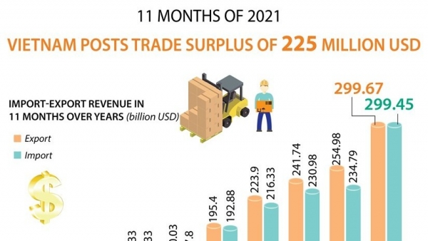 Viet Nam posts trade surplus of 225 million USD in 11 months