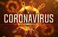 coronavirus update govt demands high sense of responsibility for ncov combat