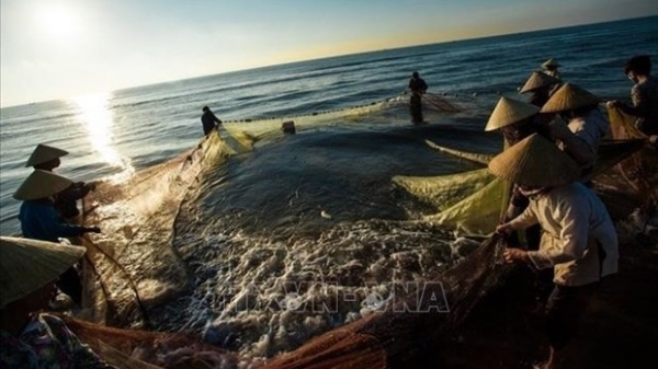 Viet Nam to develop sustainable, responsible fishery