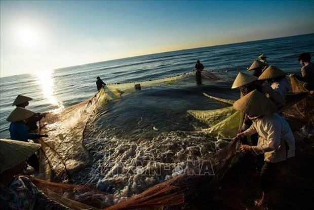 Vietnam to develop sustainable, responsible fishery. (Photo: VNA)
