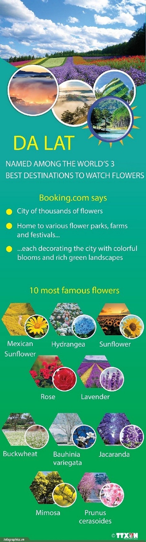 Da Lat among world's top destinations for flowers