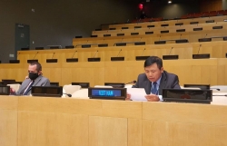 Vietnam supports UNSC’s resolution for peace, security in Guinea-Bissau