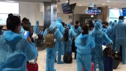 Foreign Ministry: More Vietnamese citizens brought home safely from Australia, New Zealand