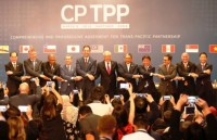 vietnamese enterprises urged to be more proactive to utilise cptpp