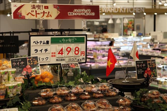 Viet Nam's lychees put on sale at AEON supermarket in Japan. (Photo: VNA)