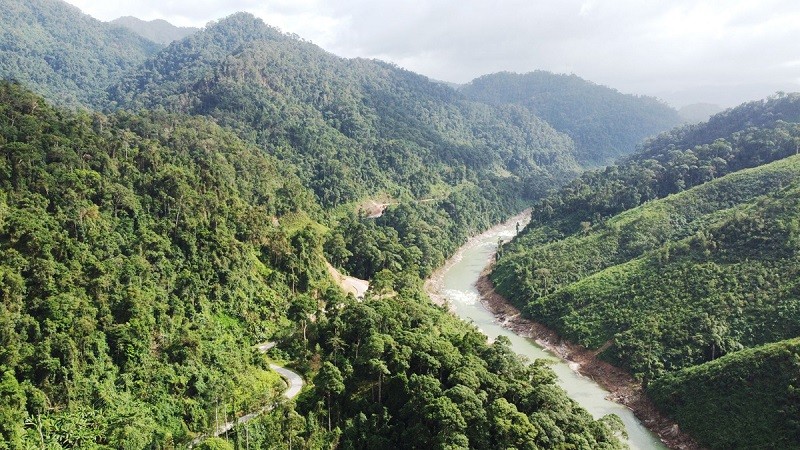 PM requires action be taken against illegal forest destruction, encroachment. (Photo: VMHA)
