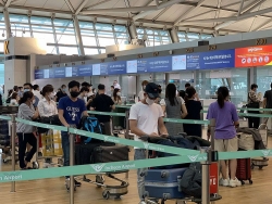 230 Vietnamese citizens brought home from RoK