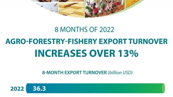 Agro-forestry-fishery export turnover increases over 13% in eight months