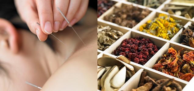 Vietnam, Japan boost cooperation in traditional medicine | Health | Vietnam+ (VietnamPlus)