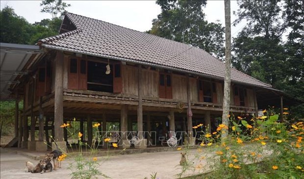 The stilt house of Pham Thi Sau's family in Lap Thang village, Thach Lap commune, Ngoc Lac district, is nearly 100 years old. 