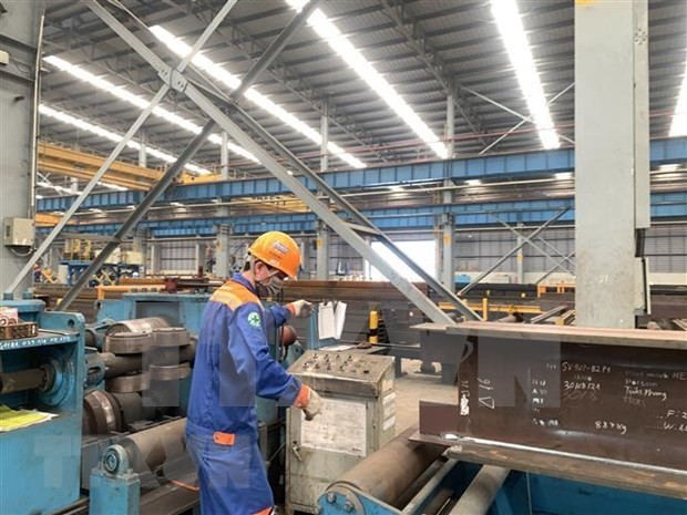 Production at a factory in Ba Ria-Vung Tau. (Photo: VNA)