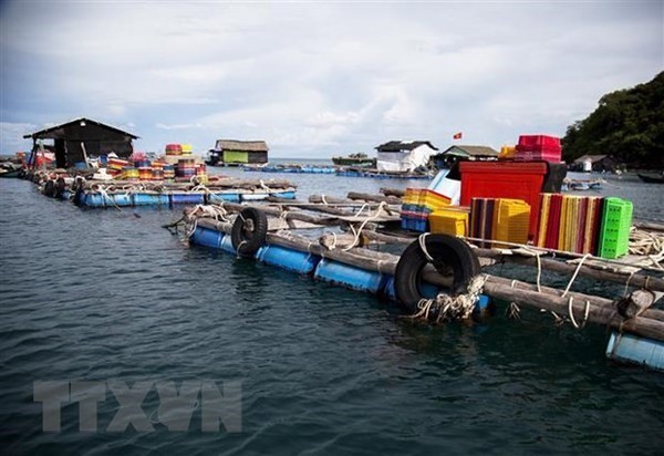 Fish farming model in Tho Chau, Phu Quoc, Kien Giang. (Photo: VNA)