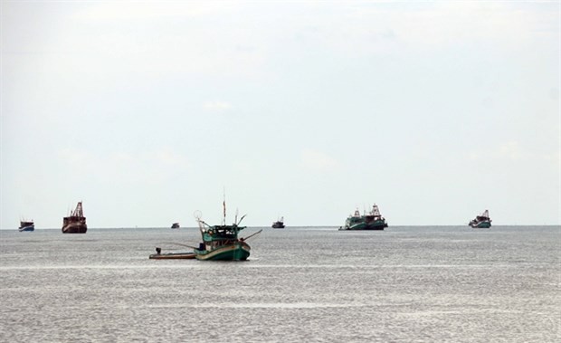 Fishing boats in the southernmost province of Ca Mau. (Photo: VNA)