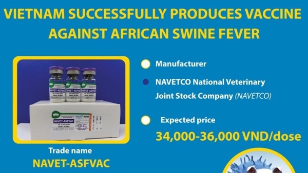 NAVET-ASFVAC - Vietnam’s vaccine against African swine fever