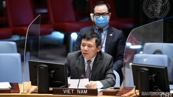 Viet Nam concerns about recent developments in Cyprus: Ambassador Dang Dinh Quy