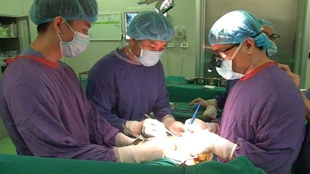 Vietnamese doctors conduct an organ transplant. (Photo: VNA)