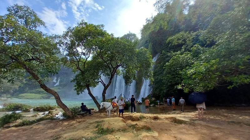 Ban Gioc Waterfall on a sunny day