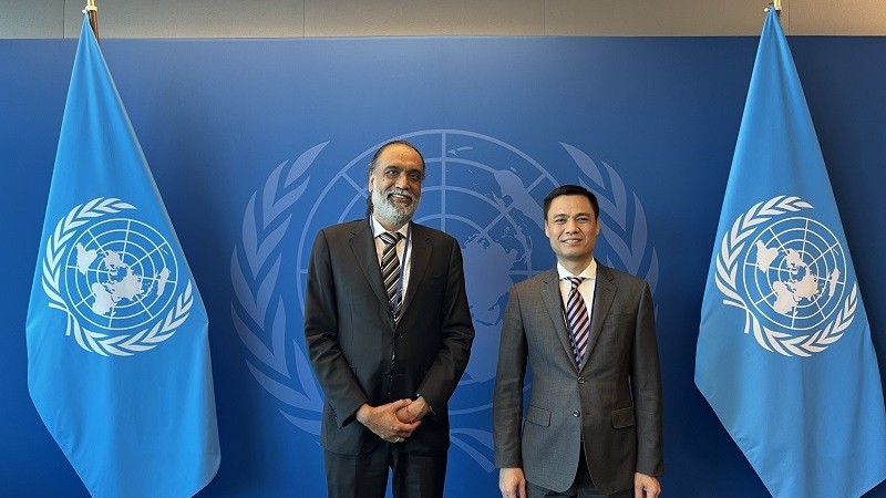 Vietnam wishes to collaborate with UN in digital transformation: Ambassador
