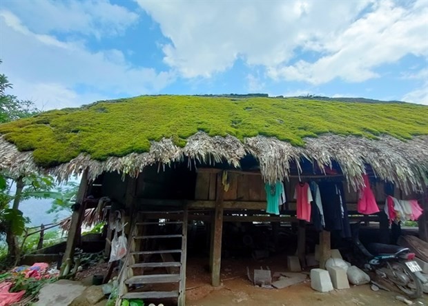 Moss growing on palm leaf roofs, giving the houses a distinctive appearance. (Source: VNA)