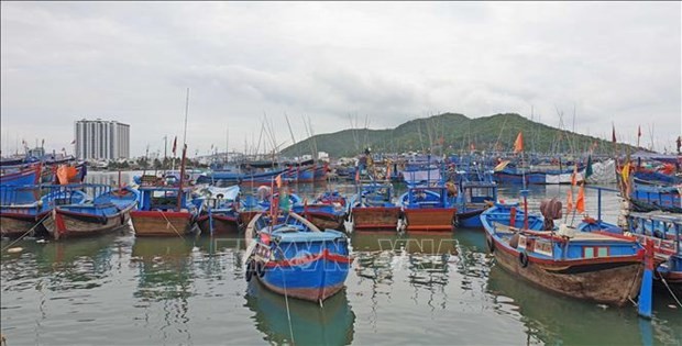 Fishing vessels in Khanh Hoa province. (Source: VNA)