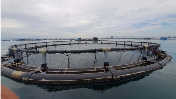 Transition to aquaculture better path ahead