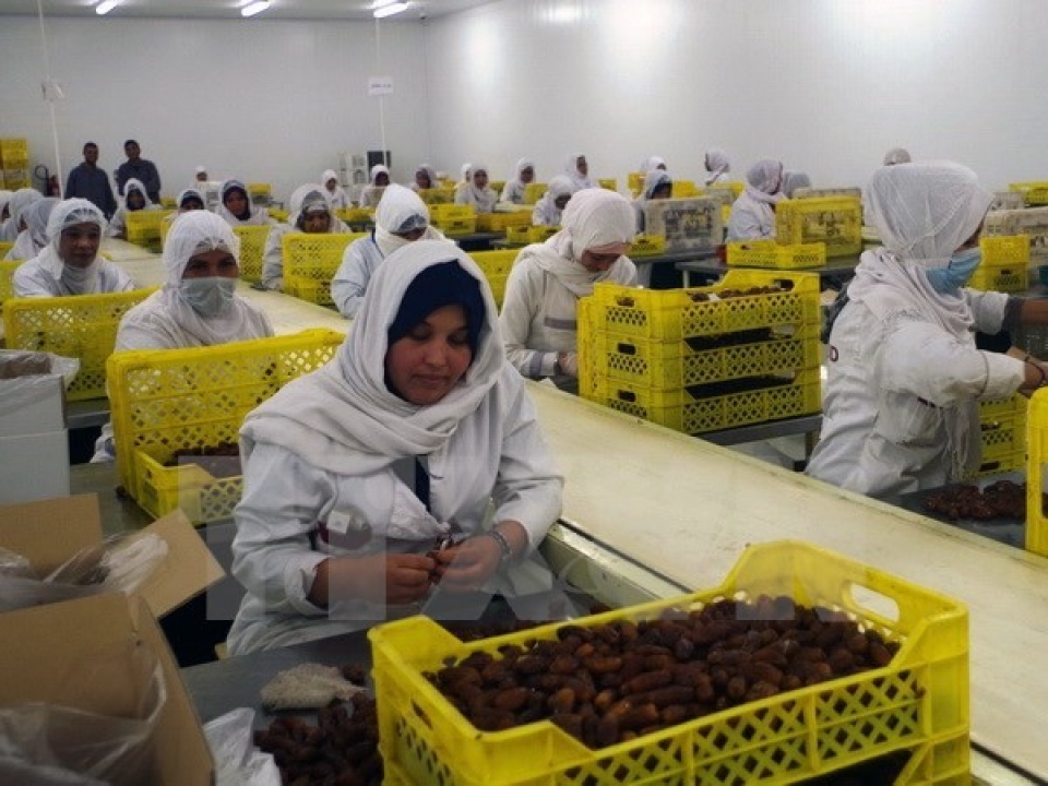 algeria to export dates to vietnam