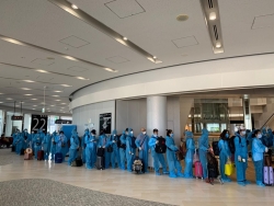 342 more Vietnamese repatriated from Japan due to COVID-19 pandemic