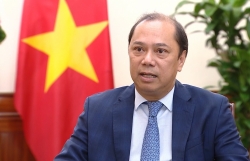 Vietnam enjoys great benefit from ASEAN membership: Deputy Foreign Minister Nguyen Quoc Dung