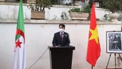 Vietnamese Embassy in Algeria opened exhibition to commemorate General Vo Nguyen Giap