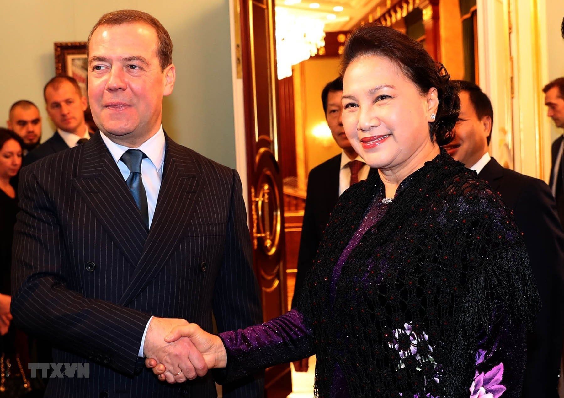 vietnamese na leader russian pm discuss multifaceted relations