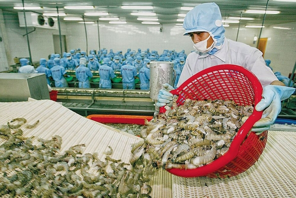 Vietnam ranked in top position for aquaculture production
