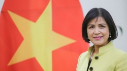 Viet Nam supports South Centre’s role in promoting cooperation between developing countries