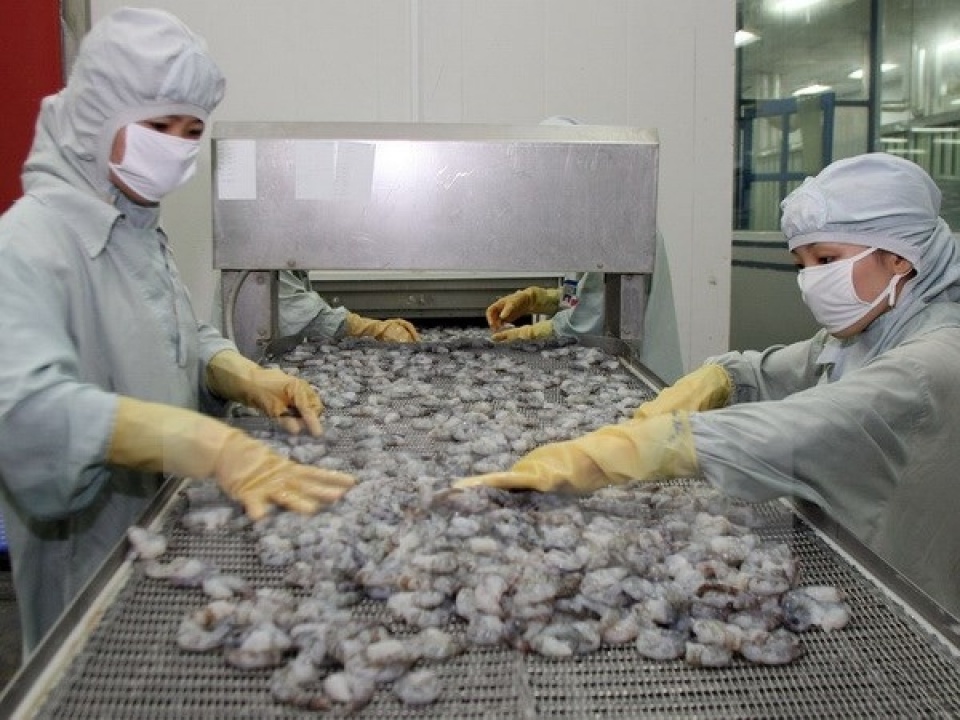 Xuất khẩu tôm. (Nguồn: TTXVN) Shrimp exports to major markets bounce back