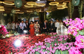 HCM city's flower street in seven days during Tet holiday