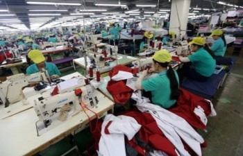 Mekong Delta province to have 14 industrial hubs